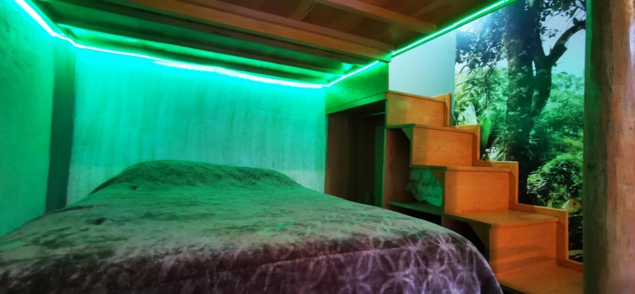 Calle Berlin Boutique مدينة مكسيكو المظهر الخارجي الصورة