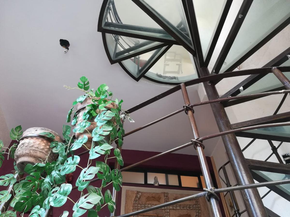 Calle Berlin Boutique مدينة مكسيكو المظهر الخارجي الصورة