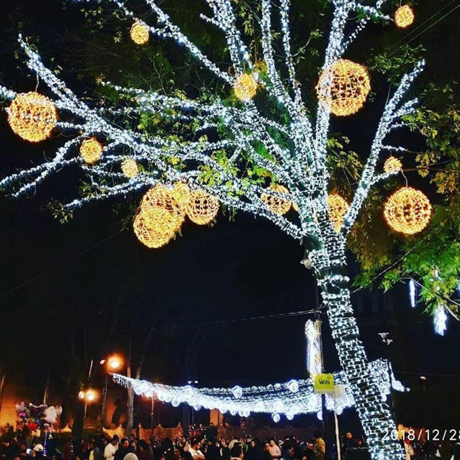 Calle Berlin Boutique مدينة مكسيكو المظهر الخارجي الصورة